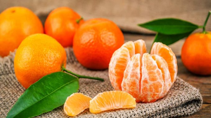 10 Manfaat buah Jeruk untuk kesehatan
